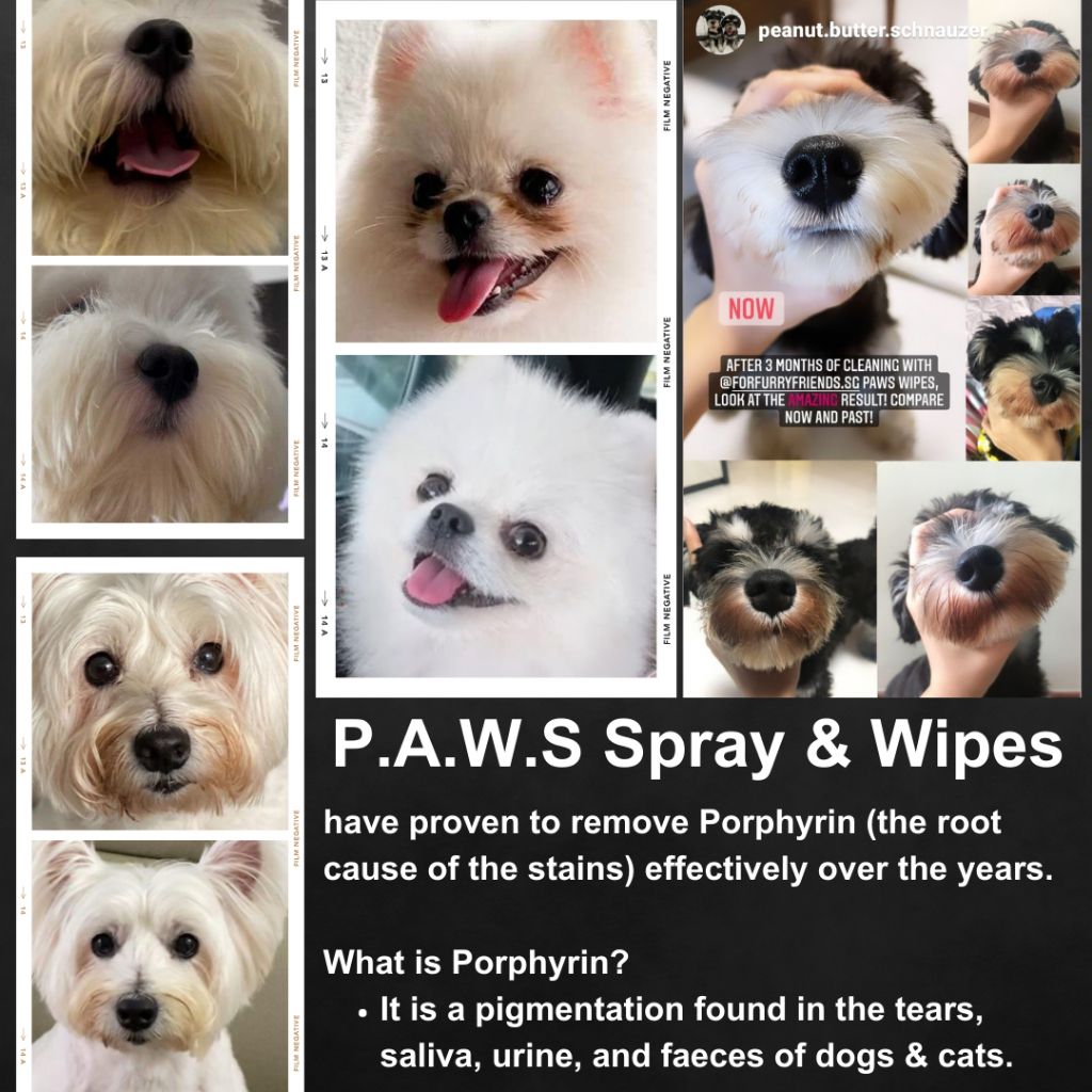 saliva and tear stains removal