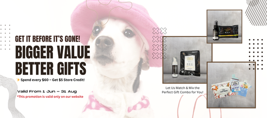  | 幸运五分彩官网结果澳洲网 Furry Friends