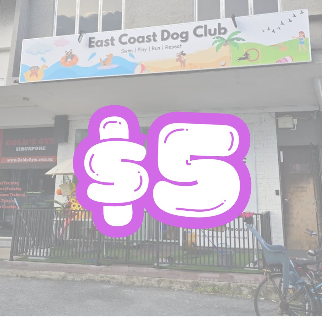 East Coast Dog Club